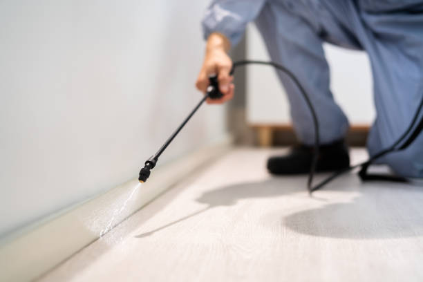 Bed Bug Pre-Treatment Preparation Assessment in Wagener