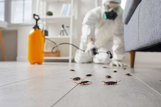 Post-Treatment Bed Bug Interceptor Monitoring in Wagener