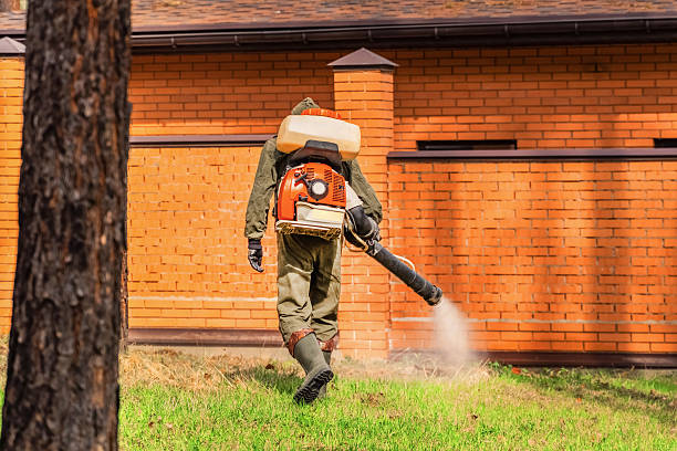 Bed Bug Clearance Verification and Documentation in Wagener